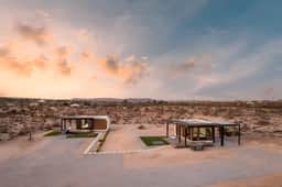 3DJ · Anita - 3D Joshua Tree