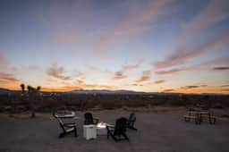 3DJ · Anita - 3D Joshua Tree