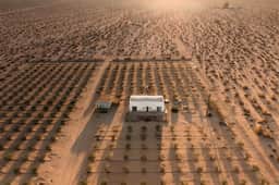 JTOF - JT Olive Farm