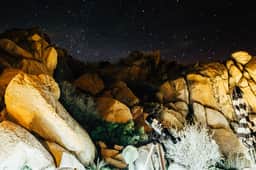 REM - Puente - Desert Remedy