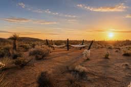 TGL · Ocotillo - The Gaslight