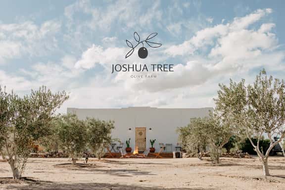 JTOF - JT Olive Farm - Image 1