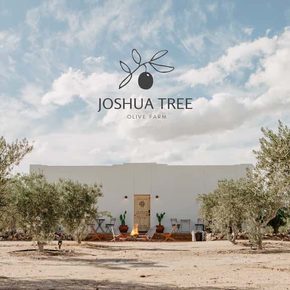 JTOF - JT Olive Farm - Image 1