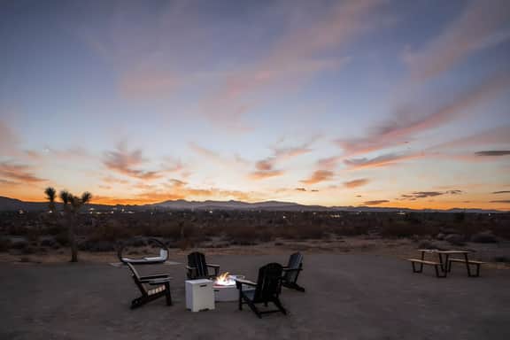 3DJ · Anita - 3D Joshua Tree